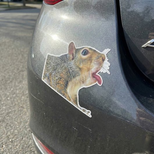 Eichhörnchenaufkleber Aufkleber