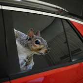 Eichhörnchenaufkleber Aufkleber