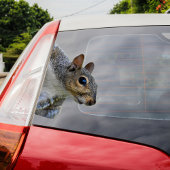 Eichhörnchenaufkleber Aufkleber