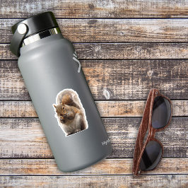 Eichhörnchenaufkleber Aufkleber