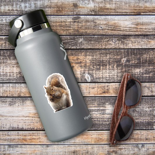 Eichhörnchenaufkleber Aufkleber