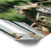 Eichhörnchenausgleichsgesetz drucken poster (Ecke)