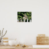 Eichhörnchenausgleichsgesetz drucken poster (Küche)