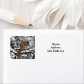 Eichhörnchenbaum (Insitu)