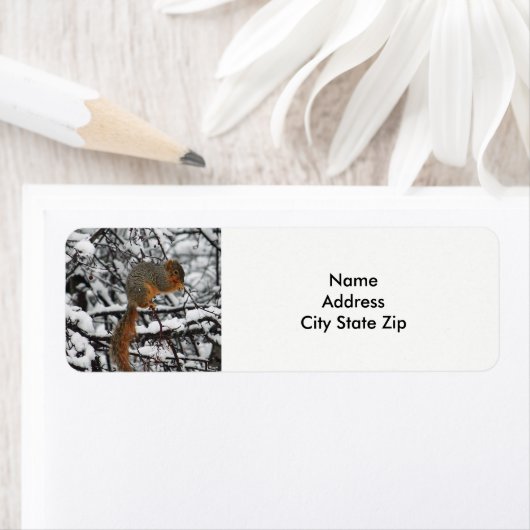 Eichhörnchenbaum (Insitu)