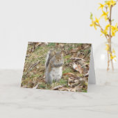 Eichhörnchendenken Karte (Gelbe Blume)