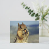 Eichhörnchenessen Postkarte (Stehend Vorderseite)