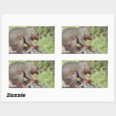 Eichhörnchenessen Rechteckiger Aufkleber (Blatt)