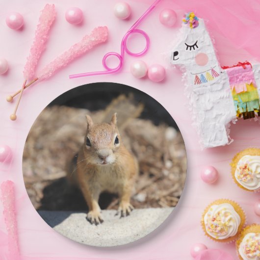 Eichhörnchenfalle Pappteller (Party)