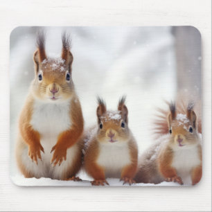 Eichhörnchenfamilie Wandernatur Mousepad