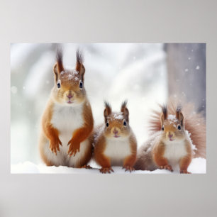 Eichhörnchenfamilie Wandernatur Poster
