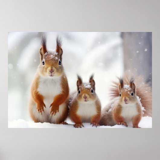 Eichhörnchenfamilie Wandernatur Poster (Vorne)