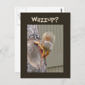 Eichhörnchenfotografie Postkarte (Vorne/Hinten)