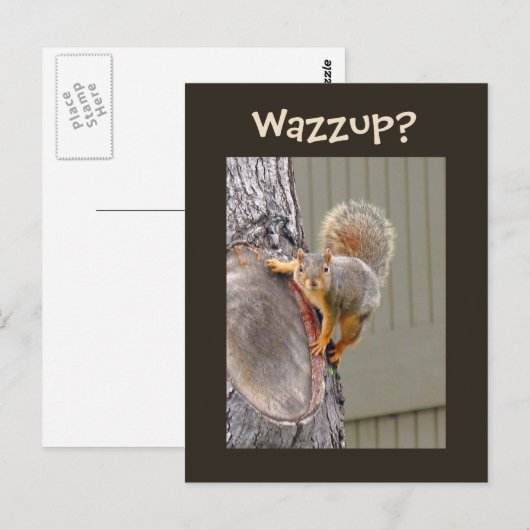 Eichhörnchenfotografie Postkarte (Vorne/Hinten)