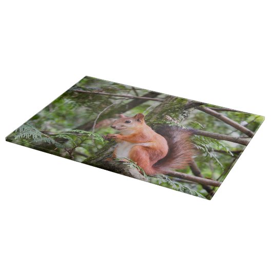 Eichhörnchenfotografie Schneidebrett (Ecke)