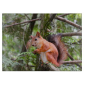 Eichhörnchenfotografie Schneidebrett (Vorderseite)