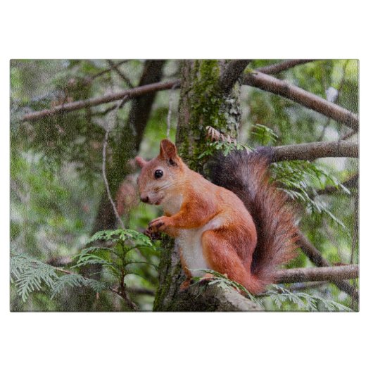 Eichhörnchenfotografie Schneidebrett (Vorderseite)