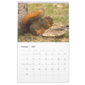 Eichhörnchenfreunde 2021 kalender (Feb 2027)