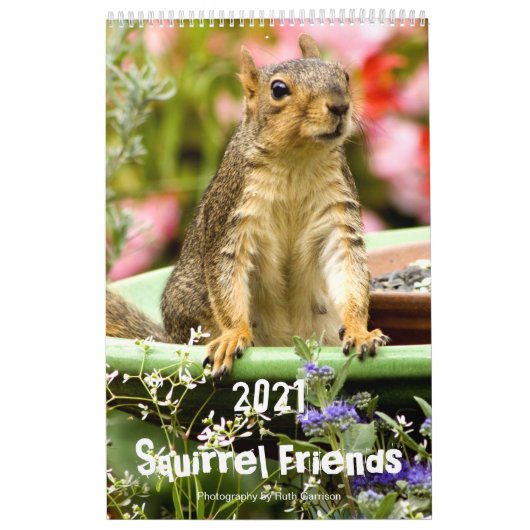 Eichhörnchenfreunde 2021 kalender (Titelbild)