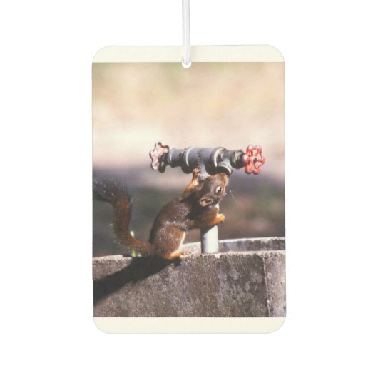 Eichhörnchenfrischer Autolufterfrischer (Vorderseite)