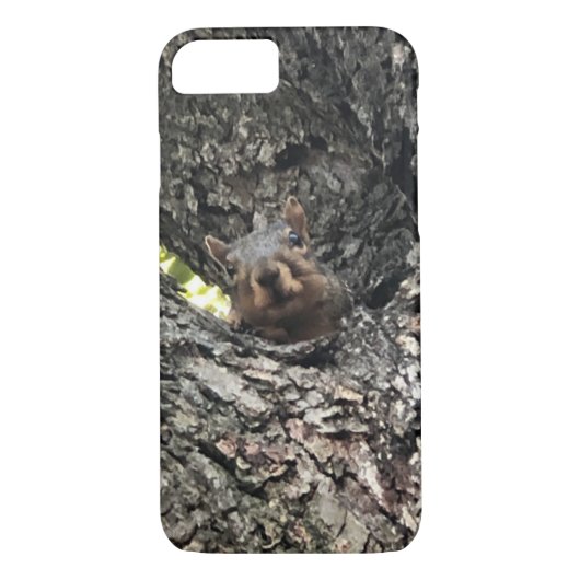 Eichhörnchengehäuse Case-Mate iPhone Hülle (Rückseite)