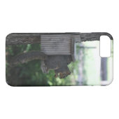 Eichhörnchengehäuse Case-Mate iPhone Hülle (Rückseite (Horizontal))