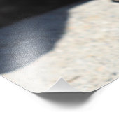 Eichhörnchengesicht Fotodruck (Ecke)