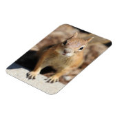 Eichhörnchengesicht Magnet (Linke Seite)