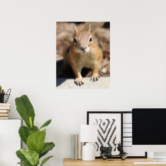 Eichhörnchengesicht Poster (Heimbüro)
