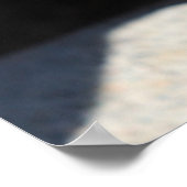 Eichhörnchengesicht Poster (Ecke)