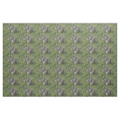 Eichhörnchengewebe ! stoff (Fat Quarter (45,7 x 55,9 cm))