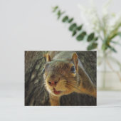 Eichhörnchenhalter geschlossen 2 postkarte (Stehend Vorderseite)