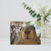 Eichhörnchenhalter Schließen 1 Postkarte (Stehend Vorderseite)