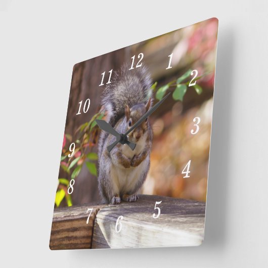 Eichhörnchenhalterung Quadratische Wanduhr (Winkel)