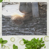 Eichhörnchenhandtücher Geschirrtuch (Gefaltet)