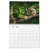 Eichhörnchenkalender 2025 kalender (Mär 2026)