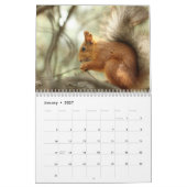 Eichhörnchenkalender 2025 kalender (Jan 2027)