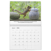 Eichhörnchenkalender - Best of Life Lessons Kalender (Mär 2026)