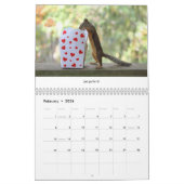 Eichhörnchenkalender - Best of Life Lessons Kalender (Feb 2026)