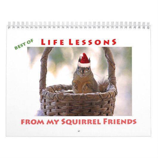 Eichhörnchenkalender - Best of Life Lessons Kalender (Titelbild)