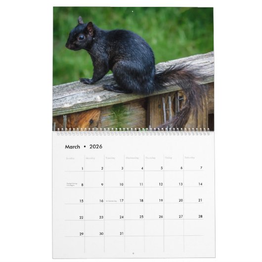 Eichhörnchenkalender des Hallowell-Sees Kalender (Mär 2026)