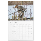 Eichhörnchenkalender des Hallowell-Sees Kalender (Feb 2026)