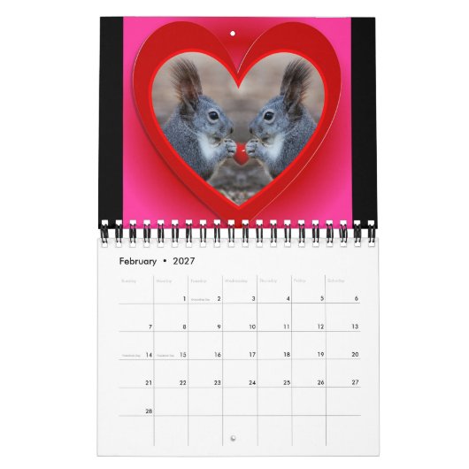 Eichhörnchenkalender für Tierfreunde oder Geschenk Kalender (Feb 2027)