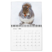 Eichhörnchenkalender für Tierfreunde oder Geschenk Kalender (Jan 2026)