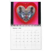Eichhörnchenkalender für Tierfreunde oder Geschenk Kalender (Feb 2026)