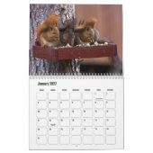 Eichhörnchenkalender Kalender (Jan 2027)