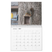 Eichhörnchenkalender Kalender (Jan 2027)