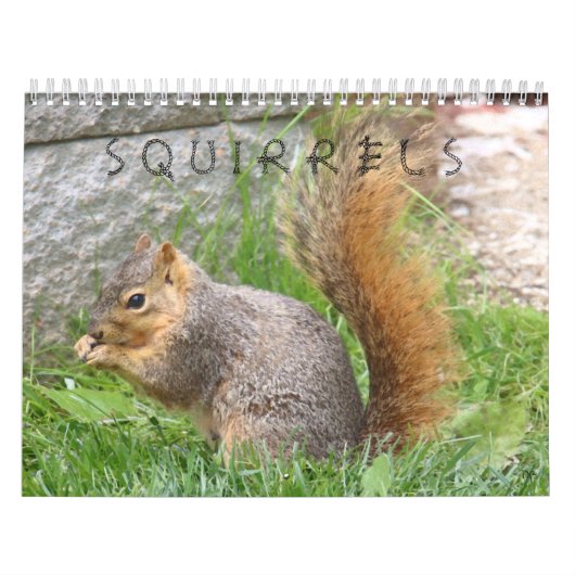 Eichhörnchenkalender Kalender (Titelbild)