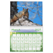 Eichhörnchenkalender Kalender (Mär 2027)