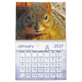Eichhörnchenkalender Kalender (Jan 2027)
